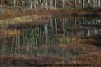 Adirondacks