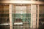 Alcatraz Island - Cell