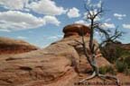 Arches National Park - Interesting Landscape