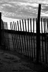 Assateague Island