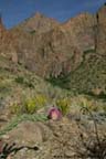 BigBend - Trail to Cat Tail Falls