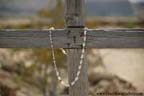 BigBend - Cemetery at Terlingua
