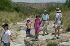 BigBend - Patsy Seawell's class watering their Cotton Wood trees