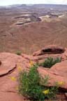 Canyonlands National Park - Canyons
