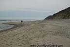 Cape Cod