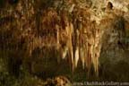 Carlsbad Caverns - Stalagtites