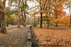 Central Park