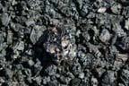 Craters of The Moon
