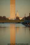 Washington DC