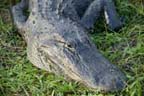 Everglades National Park