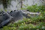 Everglades National Park