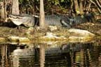 Everglades National Park