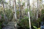 Everglades National Park