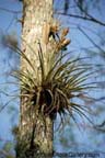 Everglades National Park