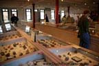 Harvard Museum