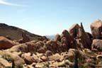 Joshua Tree National Park - Rock Playground