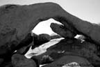 Joshua Tree National Park - Rock Arch