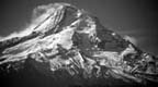 Mt. Hood