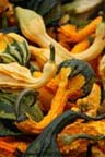 Gourds