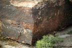 Petrified Forest National Park - Newspaper Rock