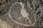 Petroglyph National Monument - Petroglyphs