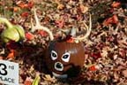 Sycamore Pumpkin Festival