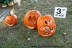 Sycamore Pumpkin Festival