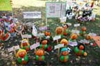 Sycamore Pumpkin Festival