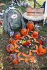 Sycamore Pumpkin Festival