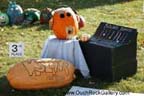 Sycamore Pumpkin Festival
