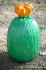 Sycamore Pumpkin Festival