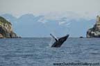 Seward