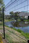 La Brea Tar Pits - Active Tar Pits in LA