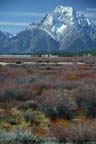 Grand Tetons