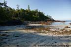 Vancouver Island